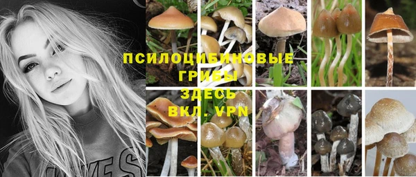 стафф Сафоново