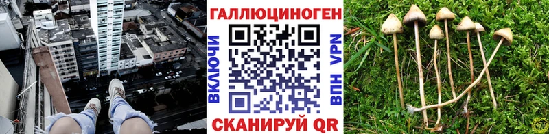 закладки  Нариманов  Галлюциногенные грибы MAGIC MUSHROOMS 